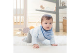 Aden + Anais Bandana Bib