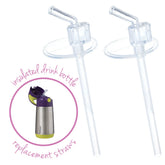 Bbox Insulated Drink Bottle Straw Pack