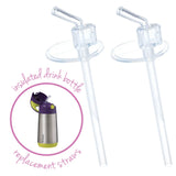 Bbox Insulated Drink Bottle Straw Pack