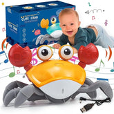 4baby Crawling Crab