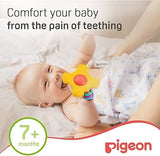 Pigeon Training Teether 7+