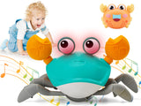 Musical Cute Crab لعبة سرطان البحر اللطيف الموسيقي