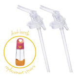 Bbox Drink Bottle Replacement Straw Pack