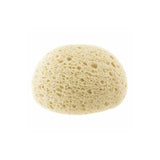 Chicco Extra Absorbent Sponge إسفنجة