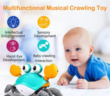 Musical Cute Crab لعبة سرطان البحر اللطيف الموسيقي