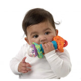 Playgro Super Shaker